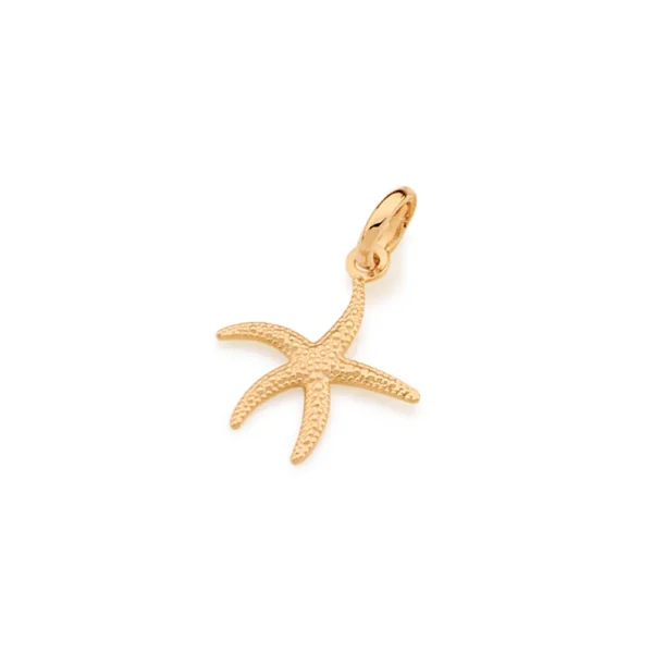 Pingente estrela do mar